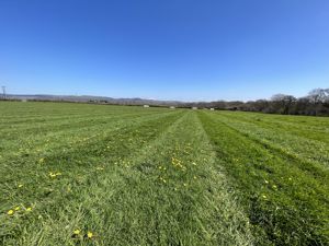 Photo 6- click for photo gallery